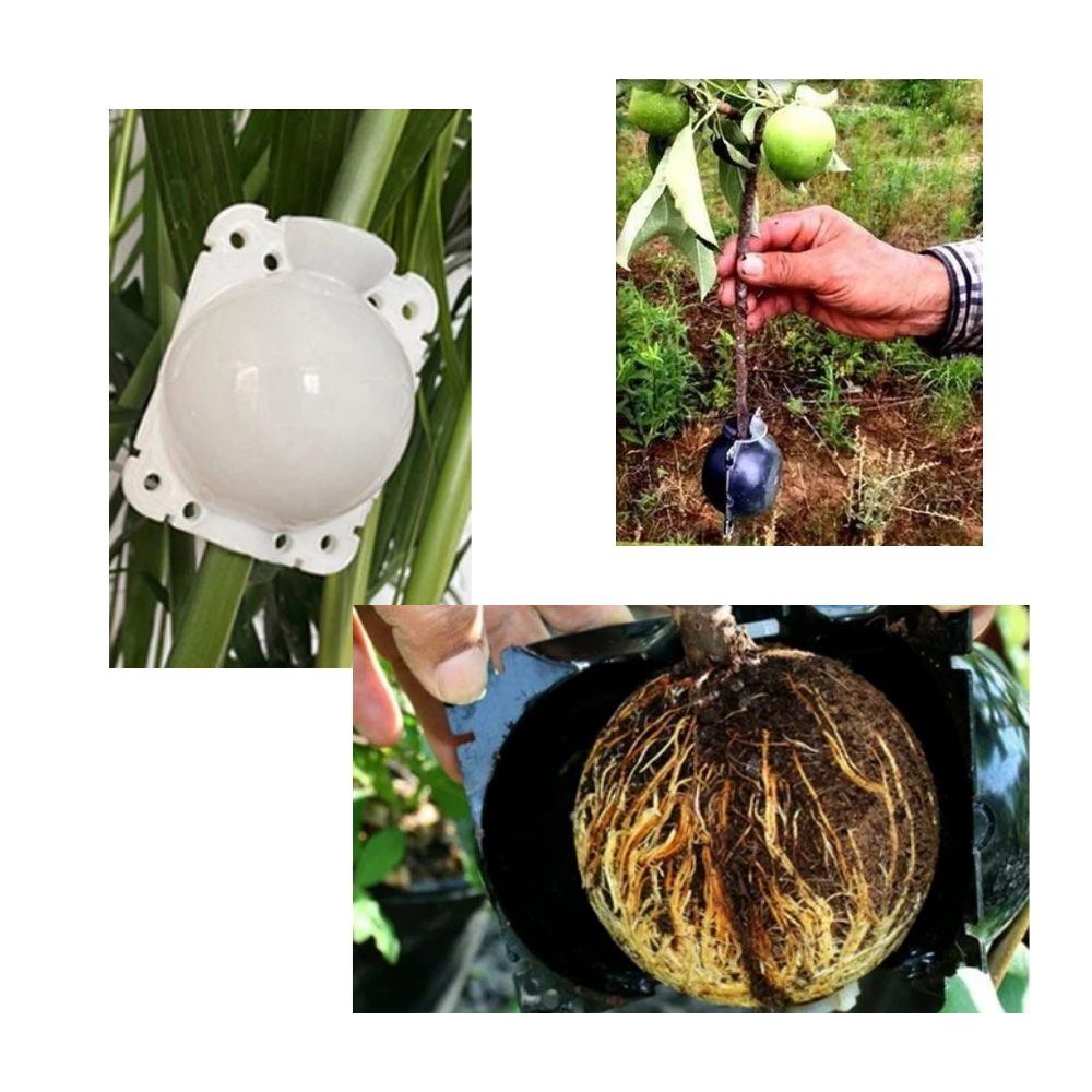 Lot de 3 boîtes à plantes pour la stratification de l'air - Ozerty