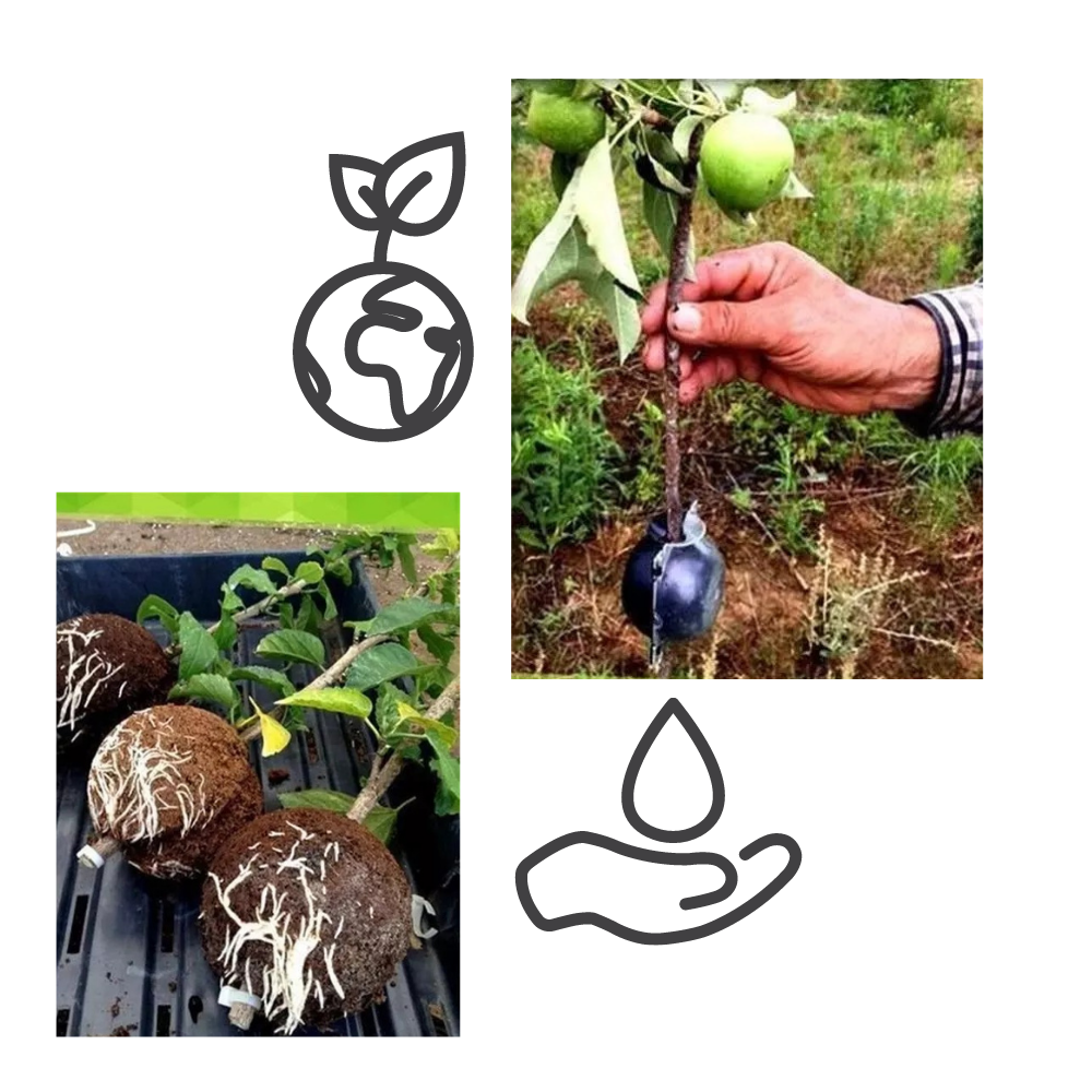 Lot de 3 boîtes à plantes pour la stratification de l'air - Ozerty