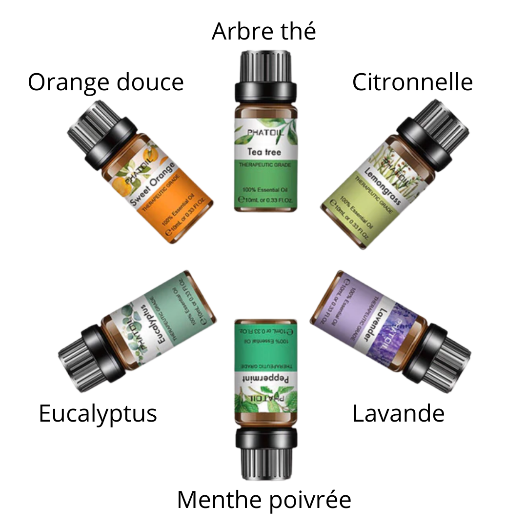 Pack of 6 essential oils