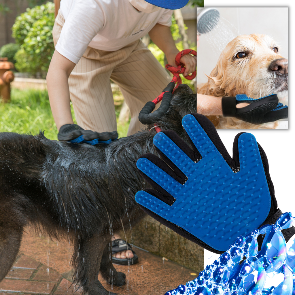 Gants de toilettage pour animaux (paire) - Ozerty