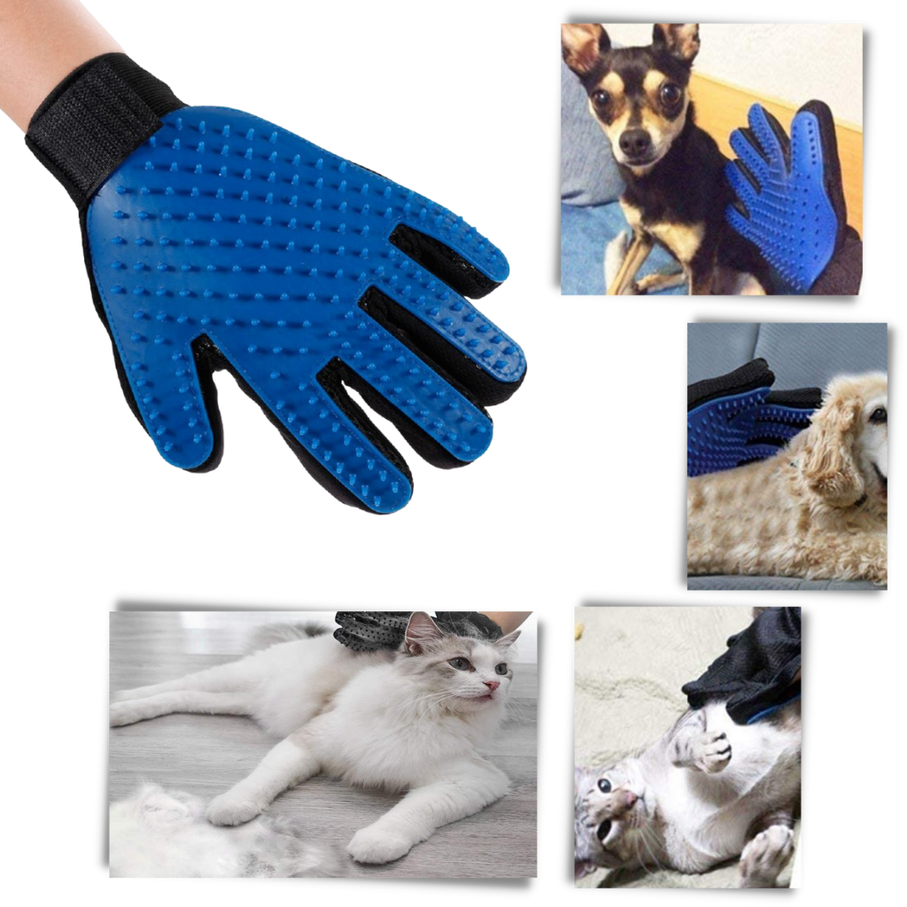 Gants de toilettage pour animaux (paire) - Ozerty
