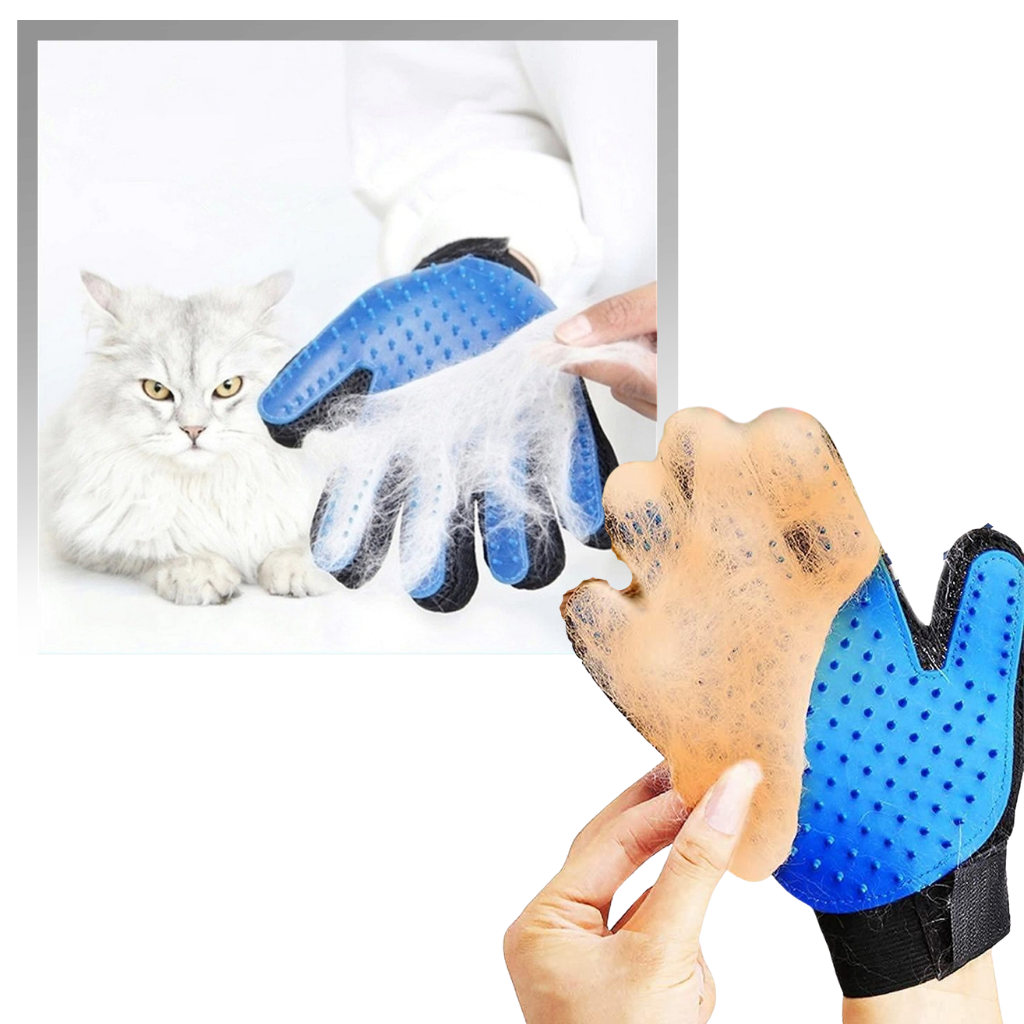 Gants de toilettage pour animaux (paire) - Ozerty
