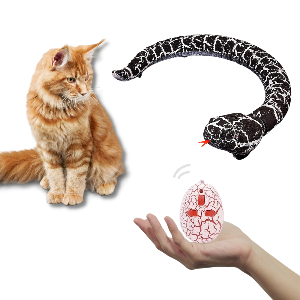 Jouet serpent interactif télécommandé pour chat - Ozerty