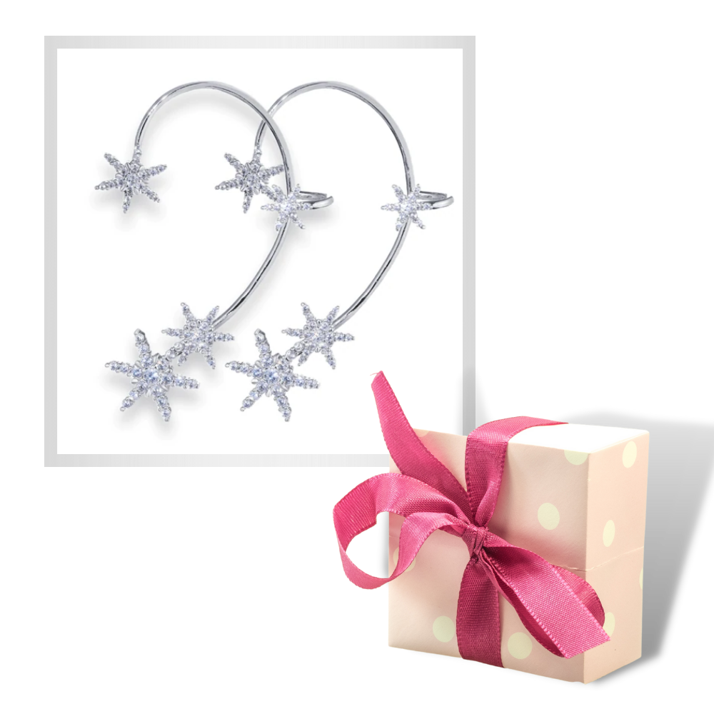 Paire de boucles d'oreilles à la mode à clip en zircone  - Ozerty