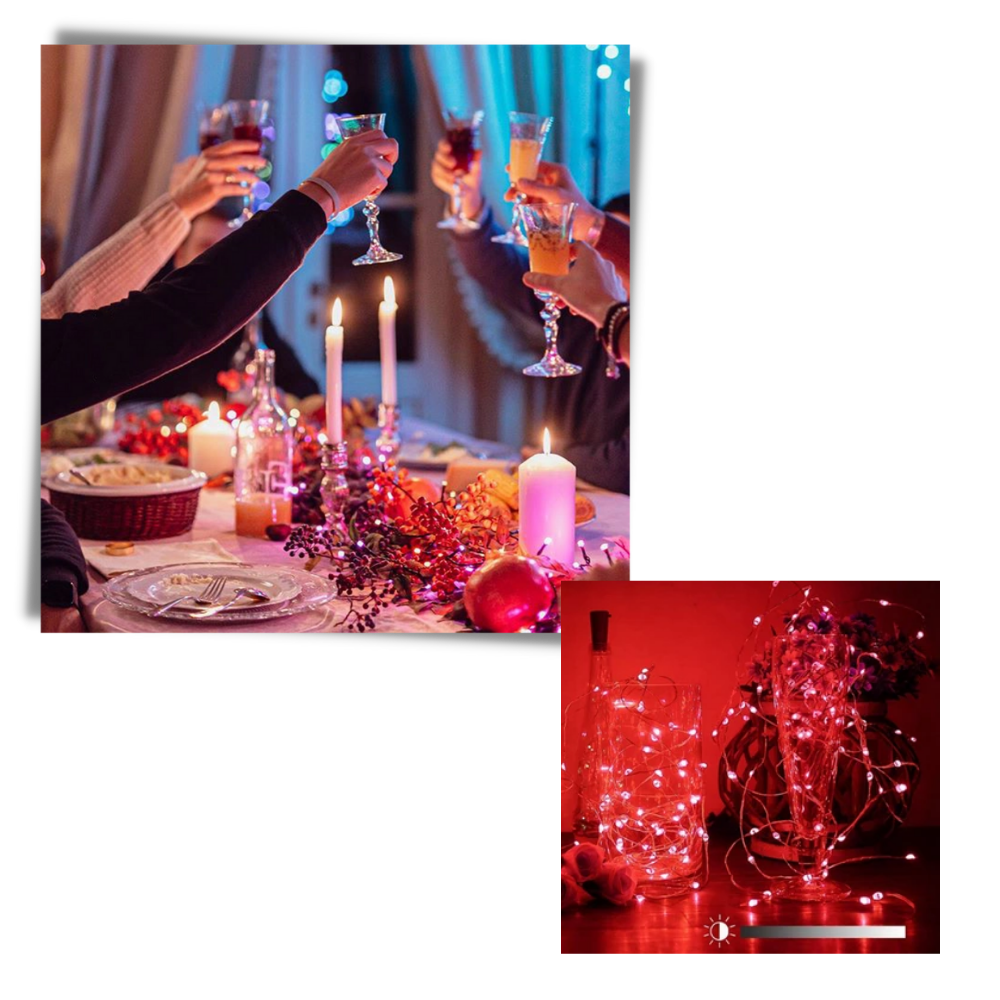 Guirlandes lumineuses à LED - Ozerty