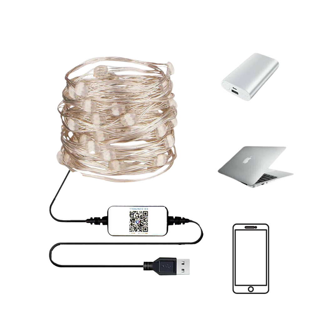 Guirlandes lumineuses à LED - Ozerty