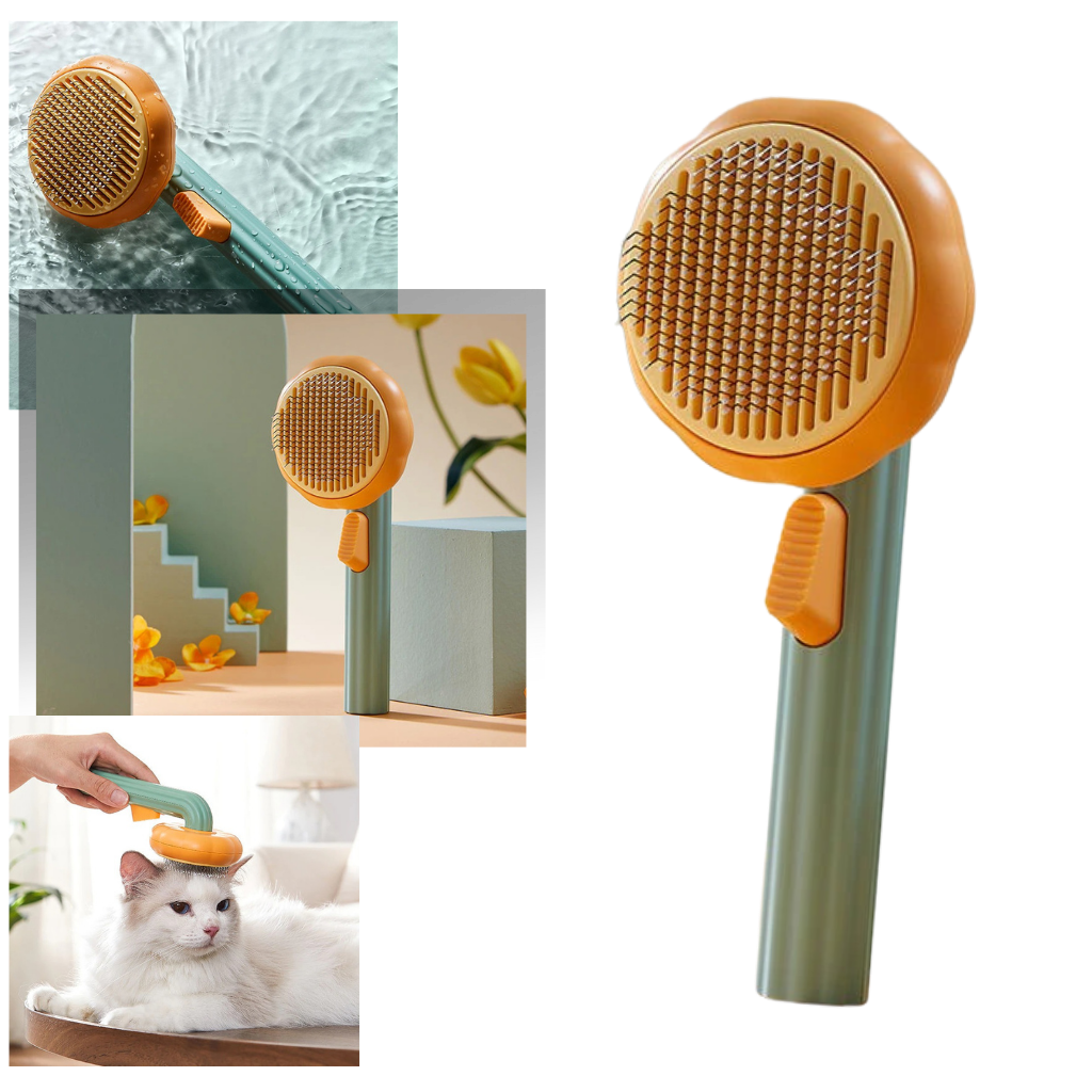 Brosse autonettoyante en forme de citrouille pour animaux de compagnie