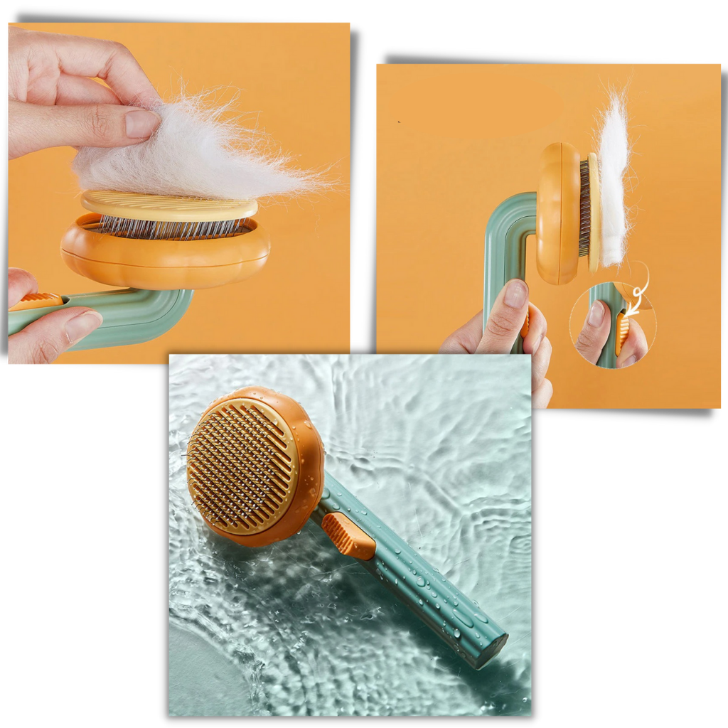 Brosse autonettoyante en forme de citrouille pour animaux de compagnie - Ozerty