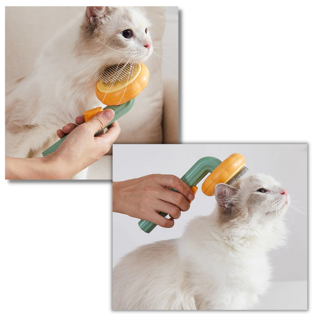 Brosse autonettoyante en forme de citrouille pour animaux de compagnie - Ozerty
