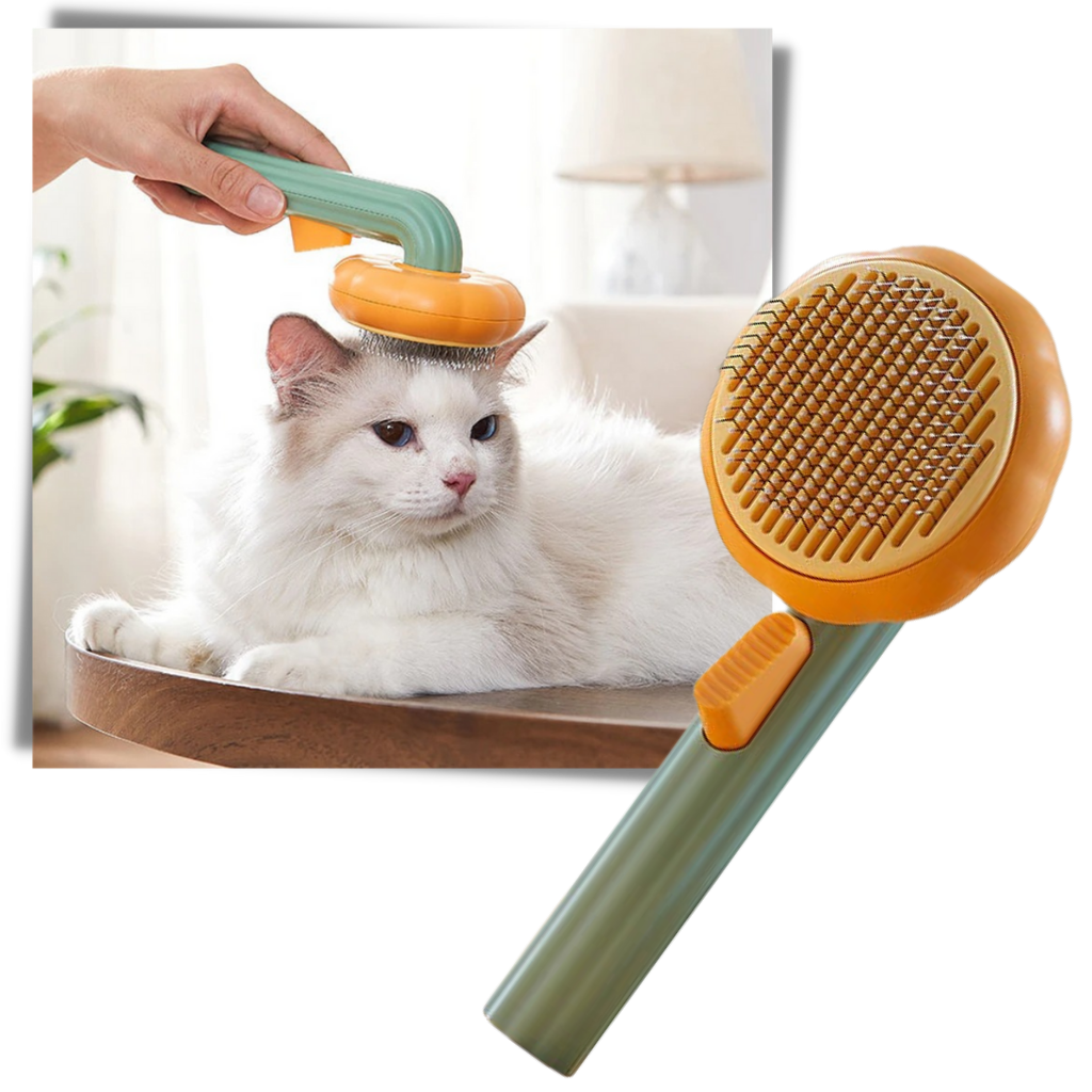 Brosse autonettoyante en forme de citrouille pour animaux de compagnie - Ozerty