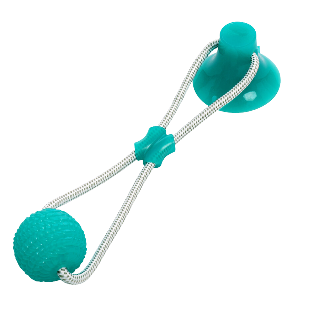 Suction cup ball for dogs