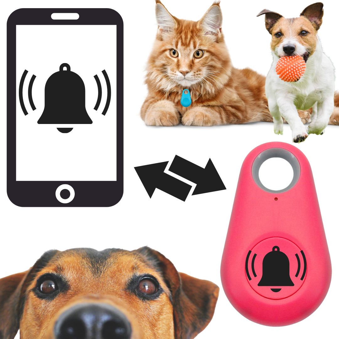 Bluetooth GPS tracker for pets