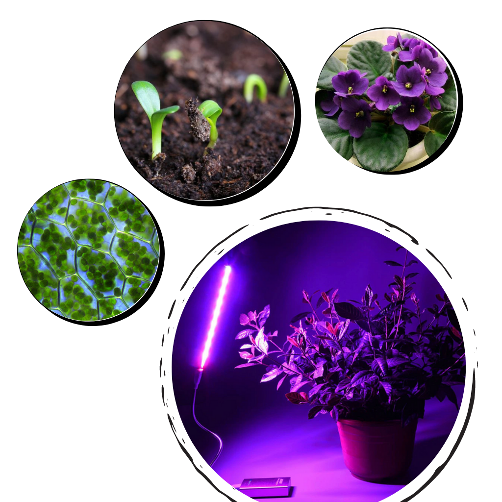 USB LED Grow Light for Plants