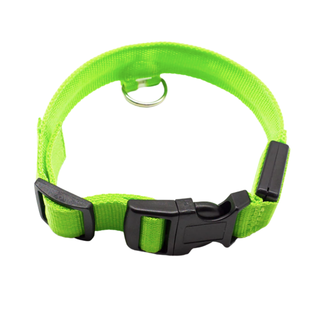 USB Rechargeable Light Up Pet Collar