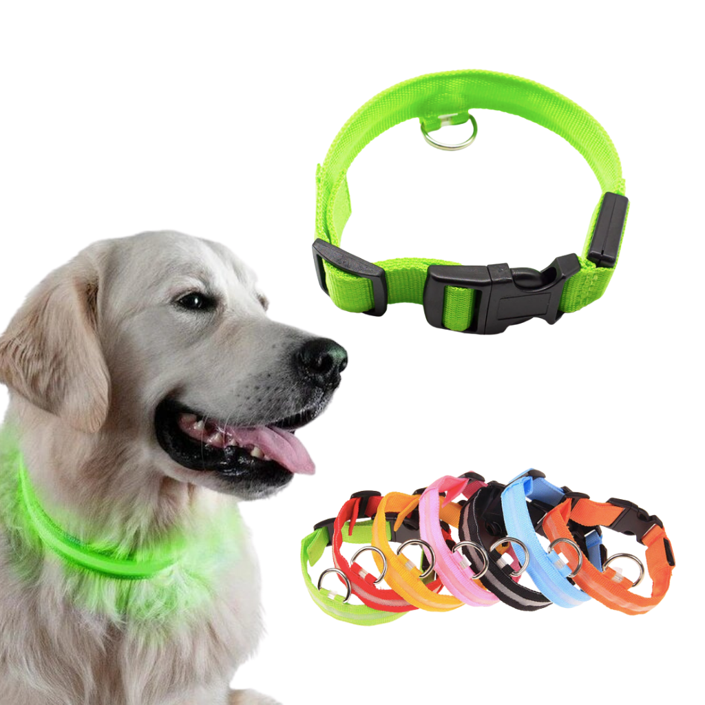 USB Rechargeable Light Up Pet Collar
