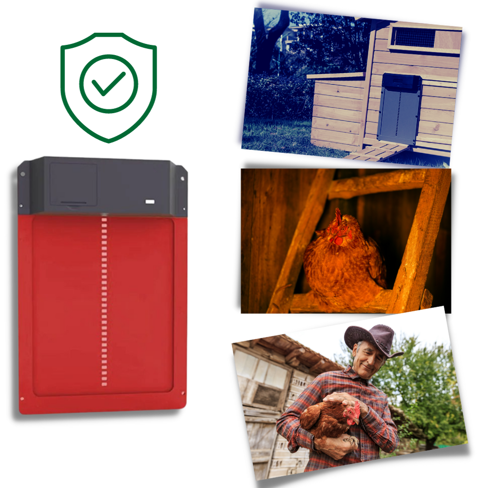 Porte Automatique pour Poulailler - Ozerty