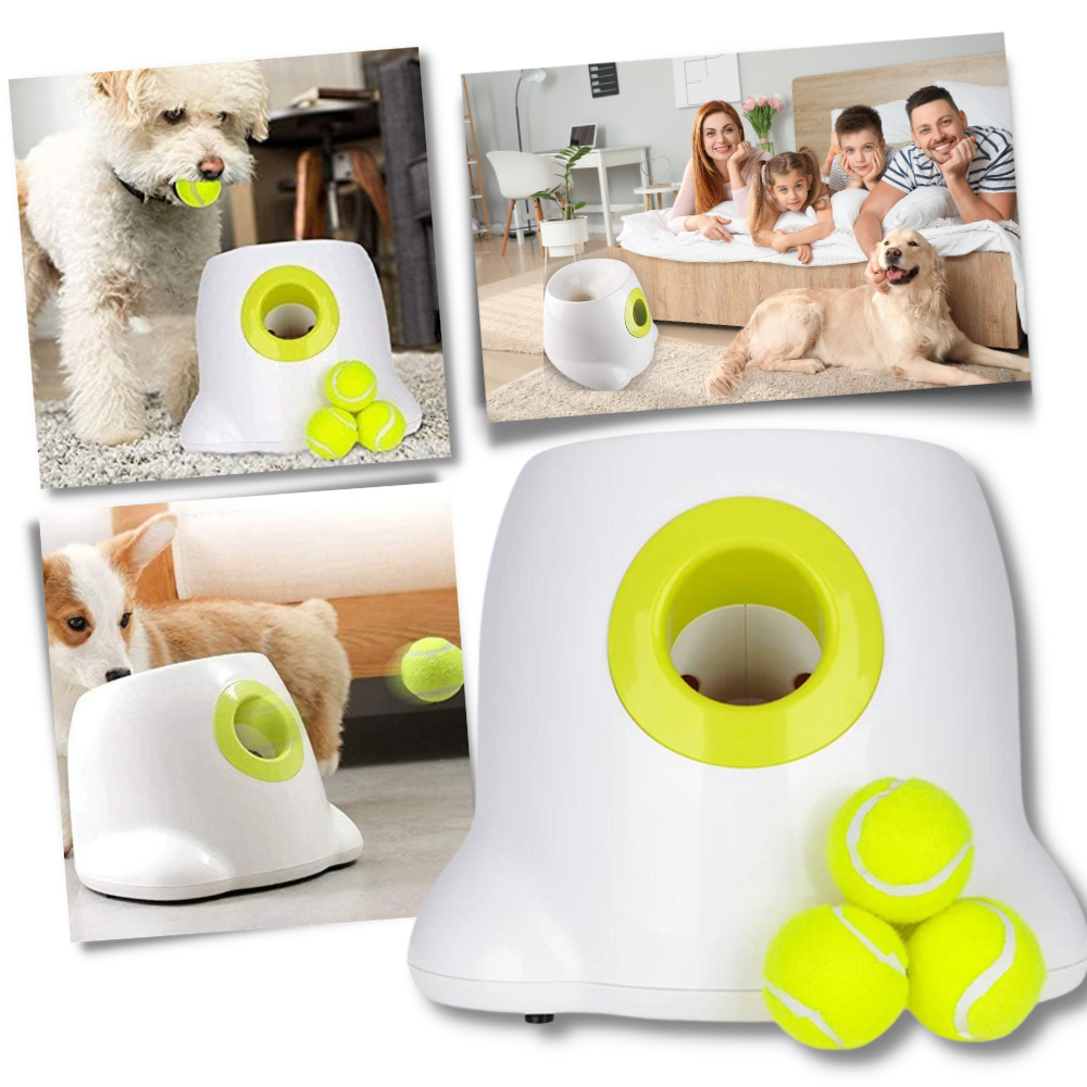 Lanceur de balles automatique  pour chiens - Ozerty