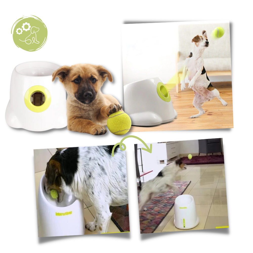 Lanceur de balles automatique  pour chiens - Ozerty