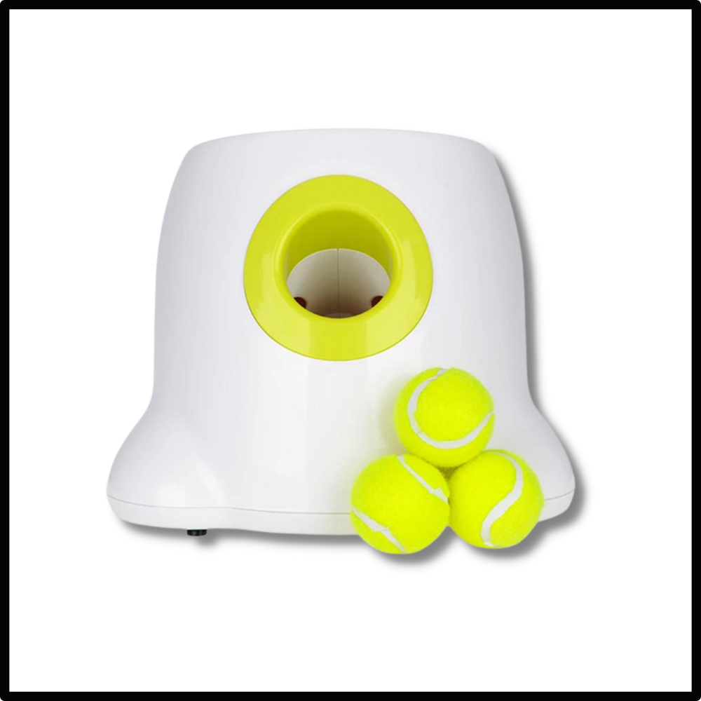 Lanceur de balles automatique  pour chiens - Ozerty