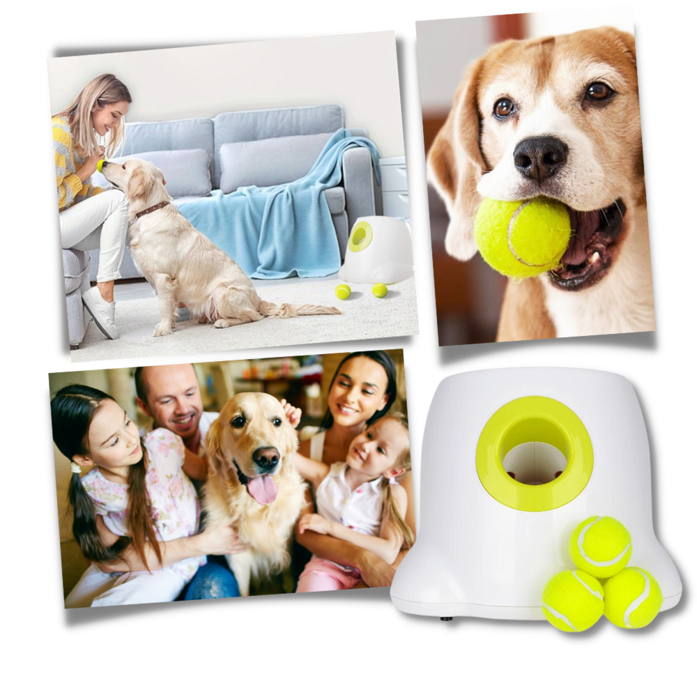 Lanceur de balles automatique  pour chiens - Ozerty
