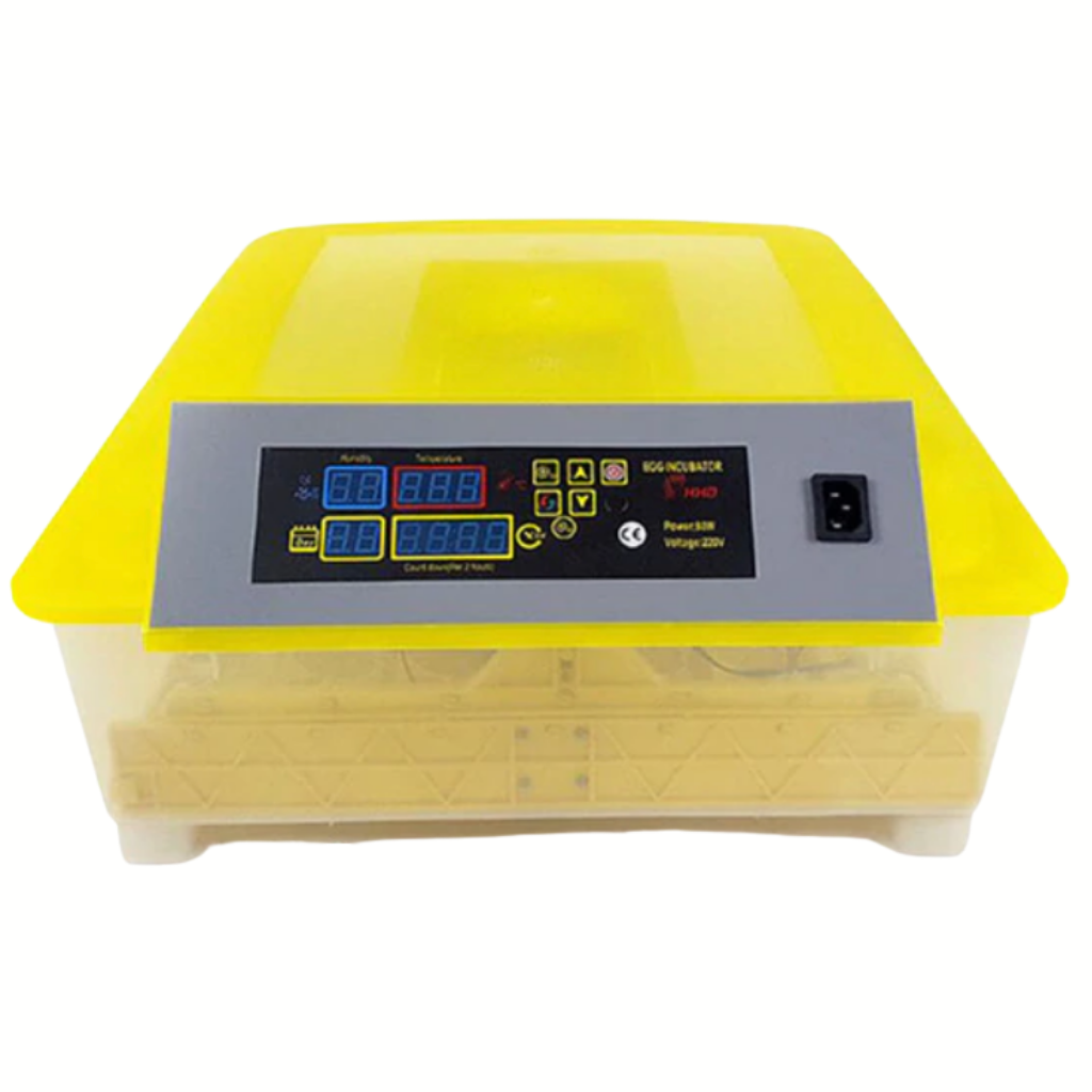 Automatic egg incubator (48 eggs)