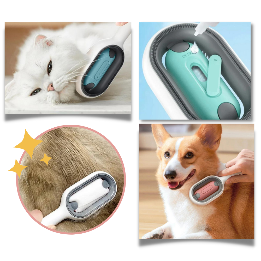 Brosse de toilettage avec réservoir d'eau
- Ozerty