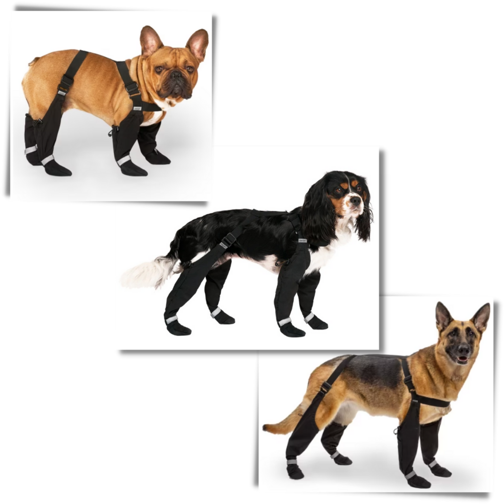 Bottes à bretelles imperméables pour chiens - Ozerty