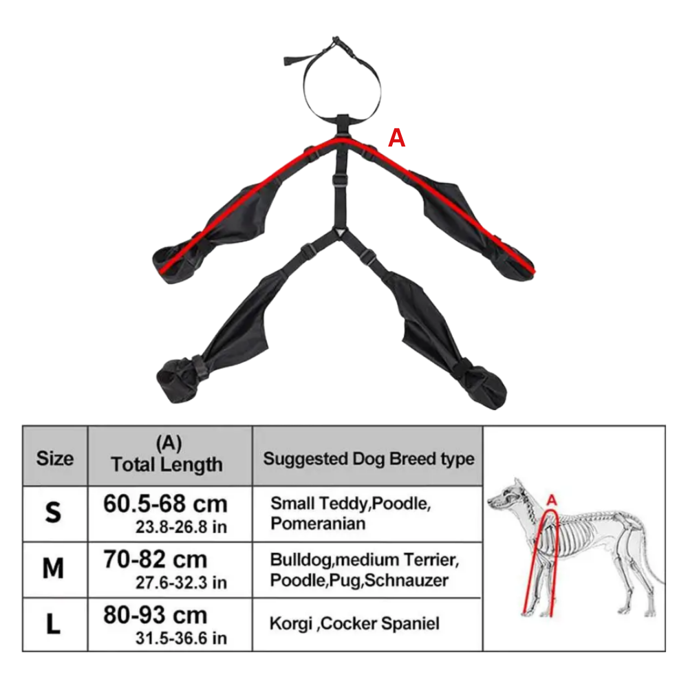 Bottes à bretelles imperméables pour chiens - Ozerty