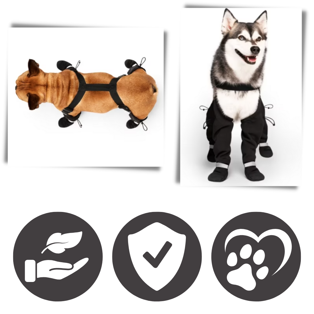 Bottes à bretelles imperméables pour chiens - Ozerty