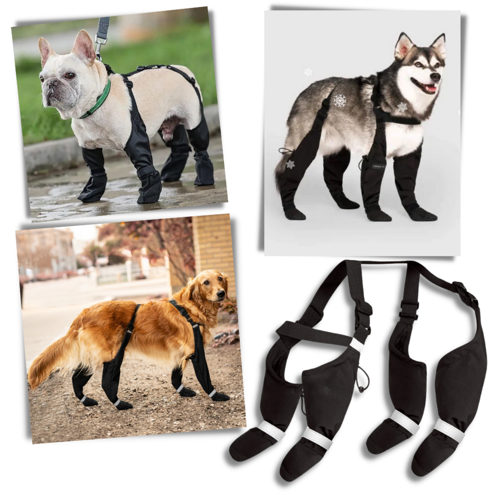 Bottes à bretelles imperméables pour chiens - Ozerty