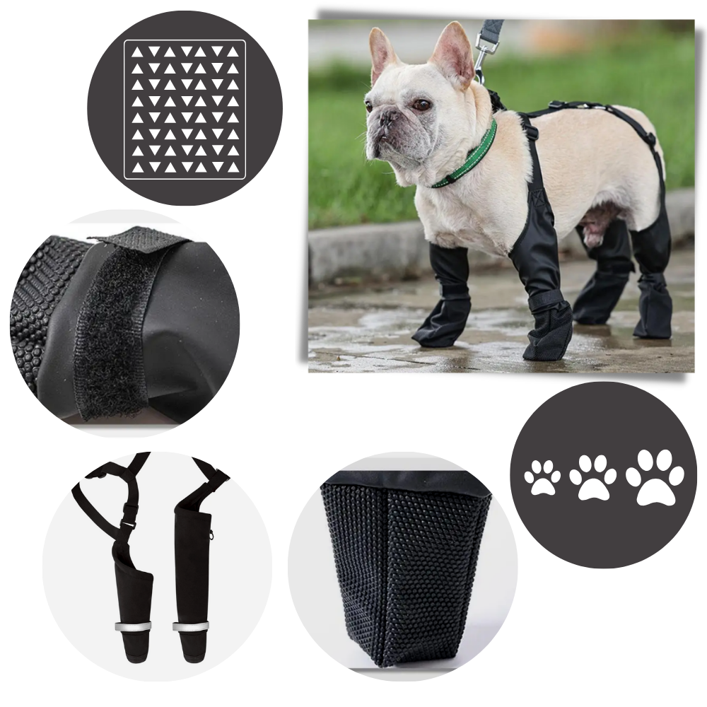 Bottes à bretelles imperméables pour chiens - Ozerty