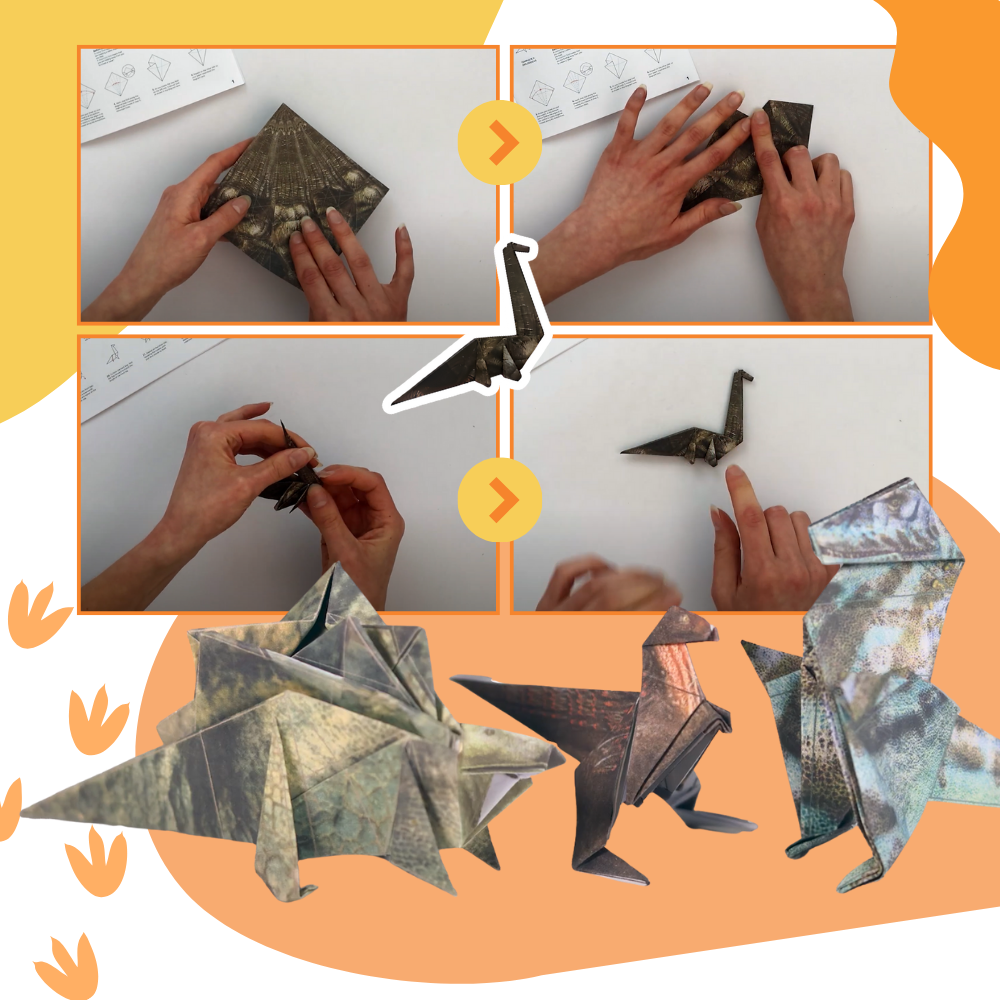 Papier origami 3D d'animaux  - Ozerty