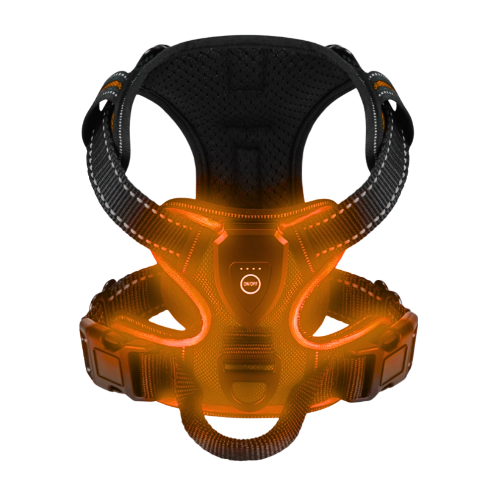Harnais pour chien avec lumière LED clignotante -Orange - Ozerty