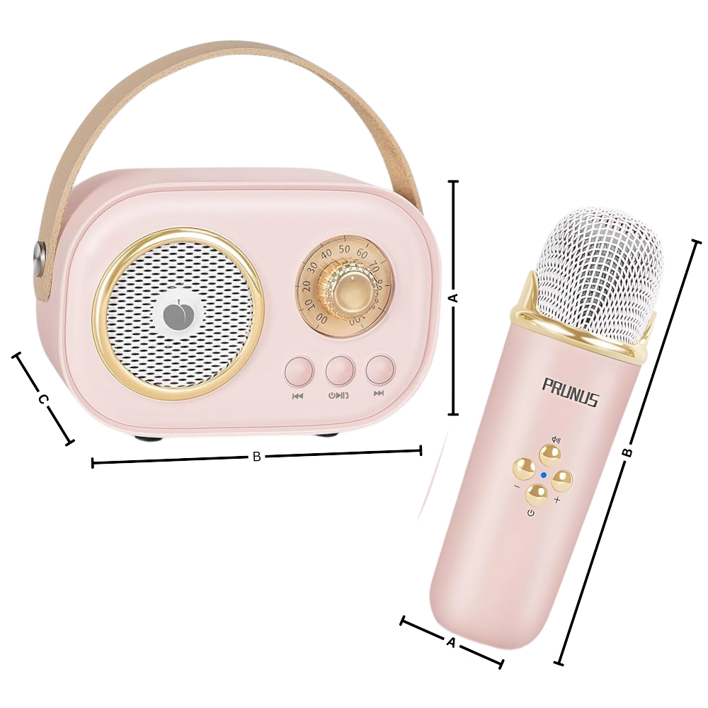 Mini Karaoké Bluetooth à double micro pour enfants - Ozerty