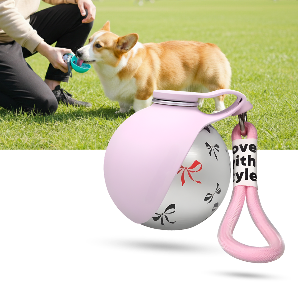 Gourde pratique pour chien - Ozerty