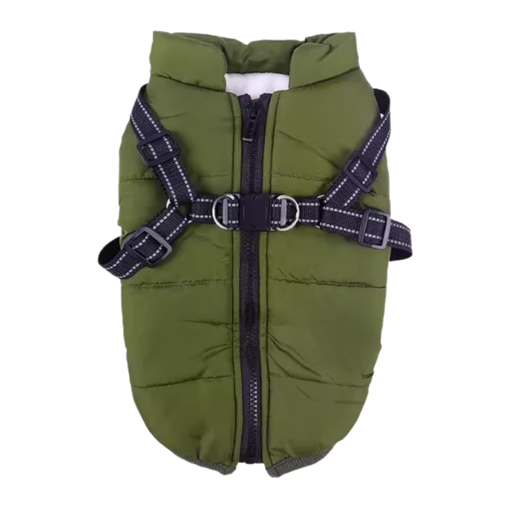 Veste d'hiver confortable pour chien -Vert - Ozerty