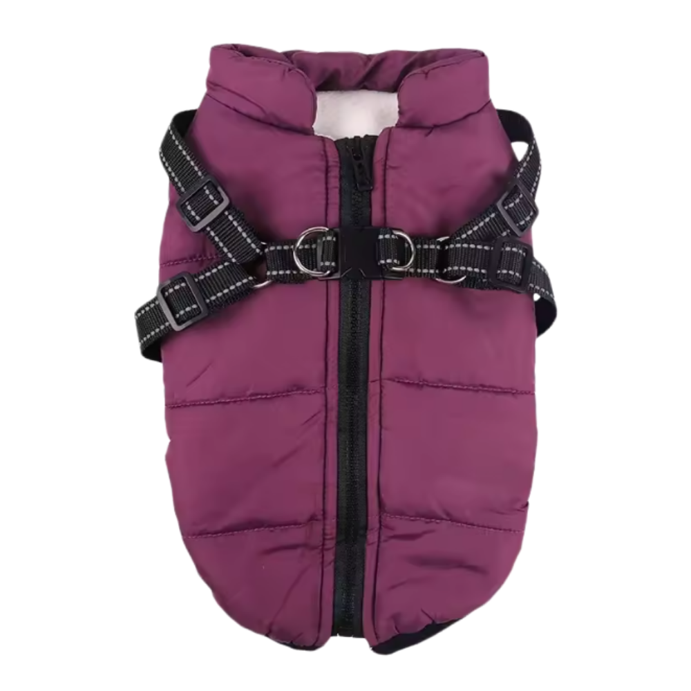 Veste d'hiver confortable pour chien -Violet - Ozerty