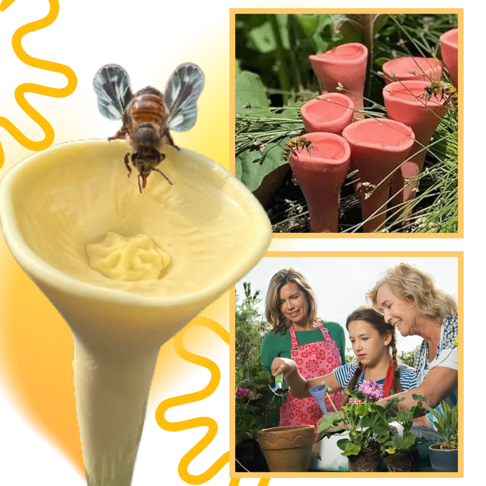 Abreuvoirs pour abeilles discrets et attrayants 

 - Ozerty