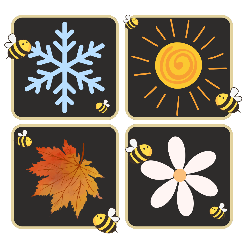 Abreuvoirs pour abeilles discrets et attrayants 

 - Ozerty
