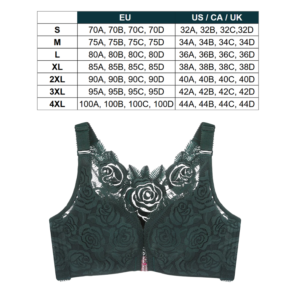 Soutien-gorge push-up élégant en dentelle  - Ozerty