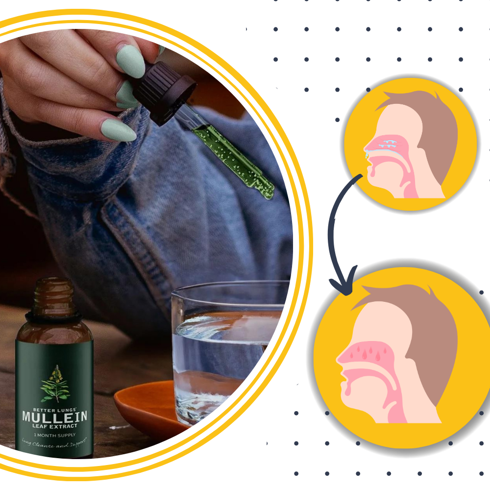 Gluten Free Mullein for Lung Health 