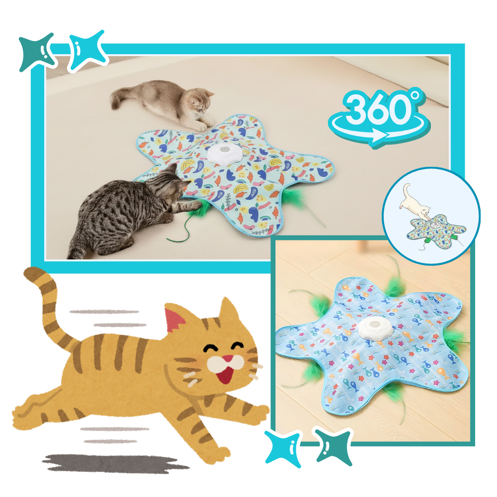 Jouet tapis interactif à plumes pour chatons en phase de dentition - Ozerty