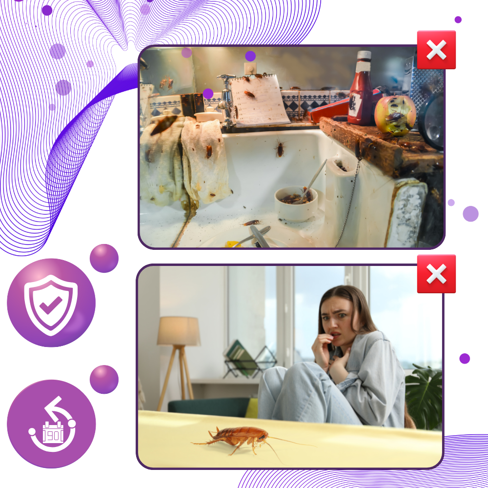 Perles anti-cafards à l'extrait de lavande - Ozerty