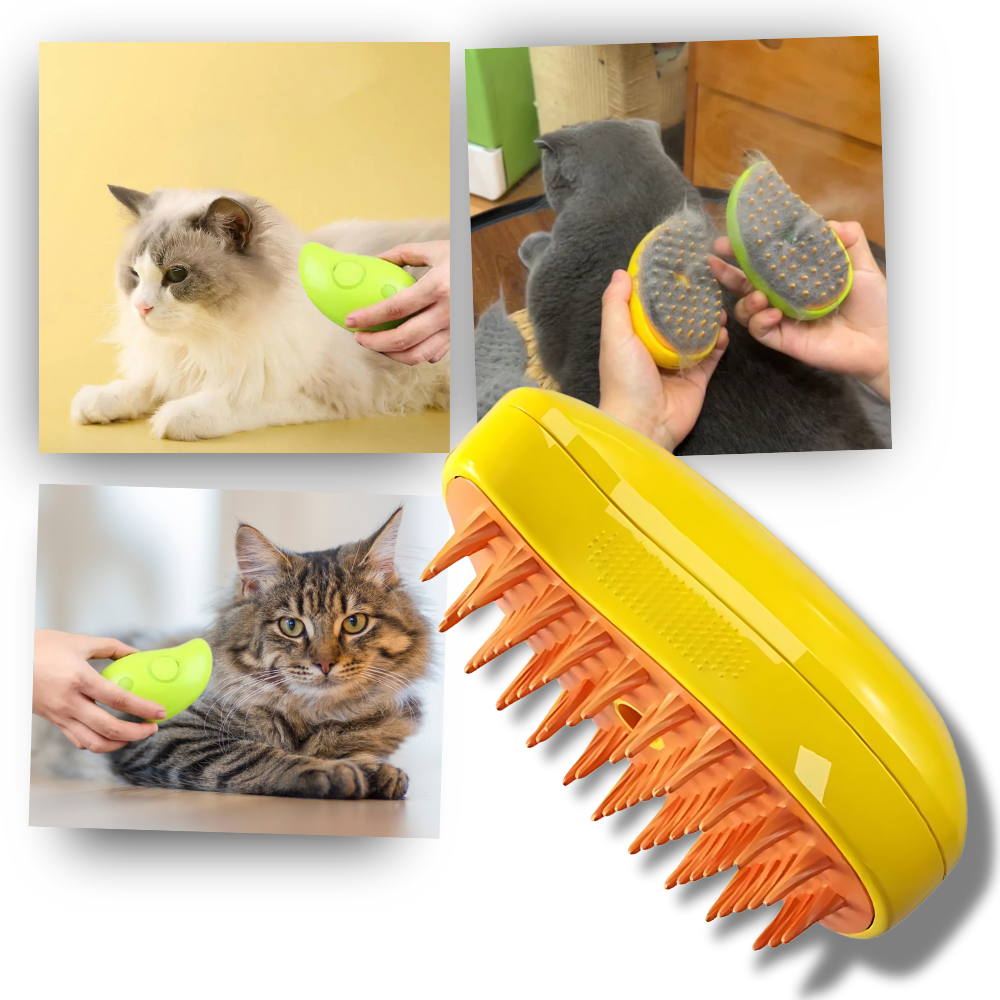 Brosse de toilettage multifonctions pour chats

 - Ozerty