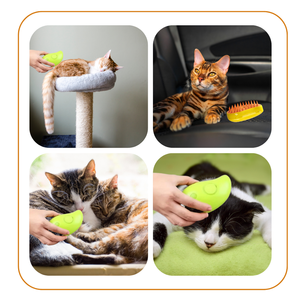 Brosse de toilettage multifonctions pour chats

 - Ozerty