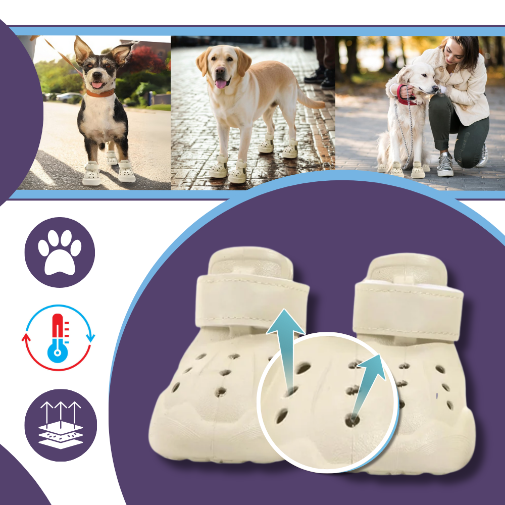 Bottines de protection pour pattes - Ozerty