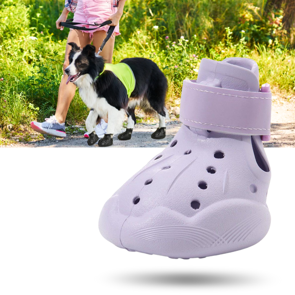 Bottines de protection pour pattes - Ozerty
