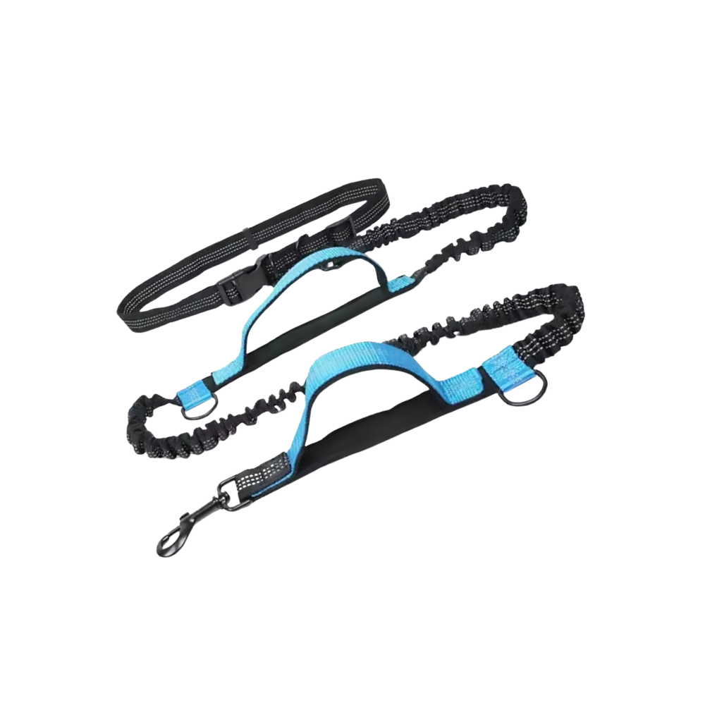 Laisse de sécurité mains-libres pour chien -Bleu - Ozerty