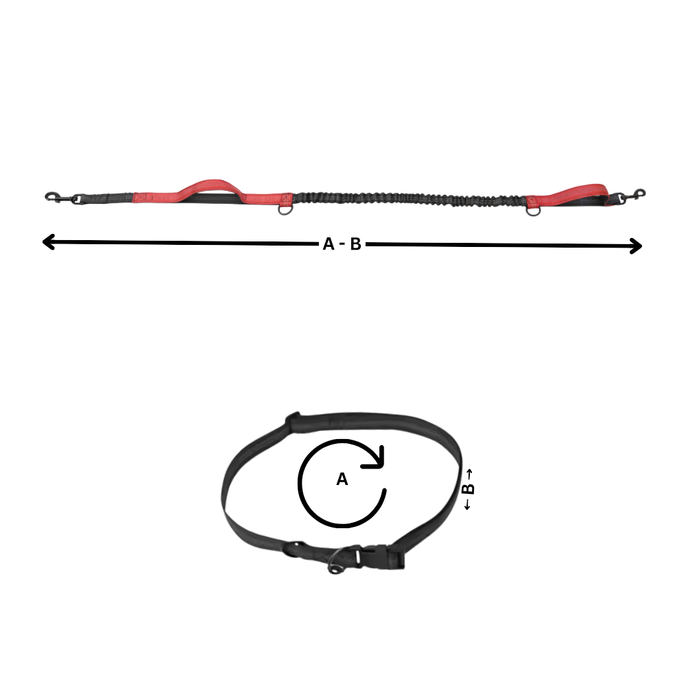 Laisse de sécurité mains-libres pour chien - Ozerty