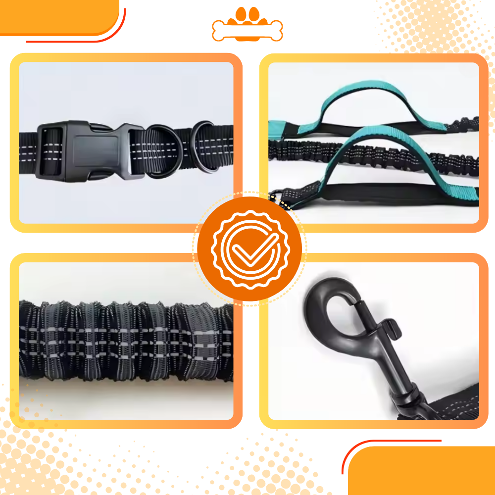 Laisse de sécurité mains-libres pour chien - Ozerty